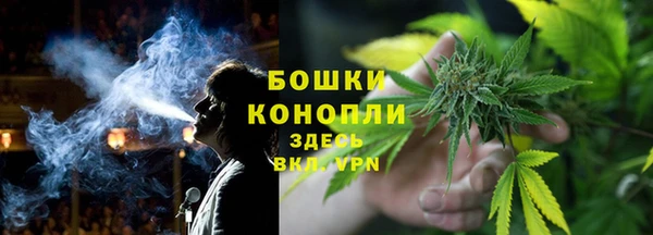 мяу мяу кристалл Богданович