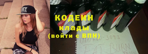 СК Богородск