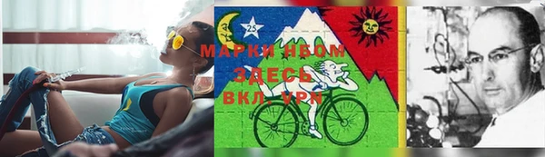 мяу мяу кристалл Богданович