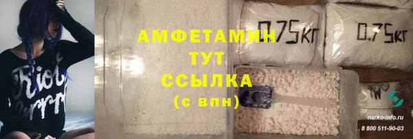 mdpv Богородицк