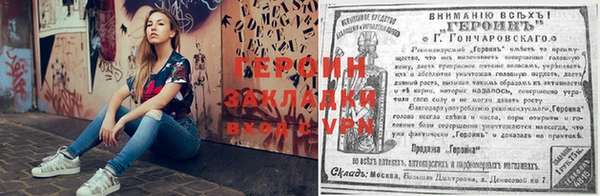 mdpv Богородицк